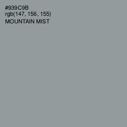 #939C9B - Mountain Mist Color Image